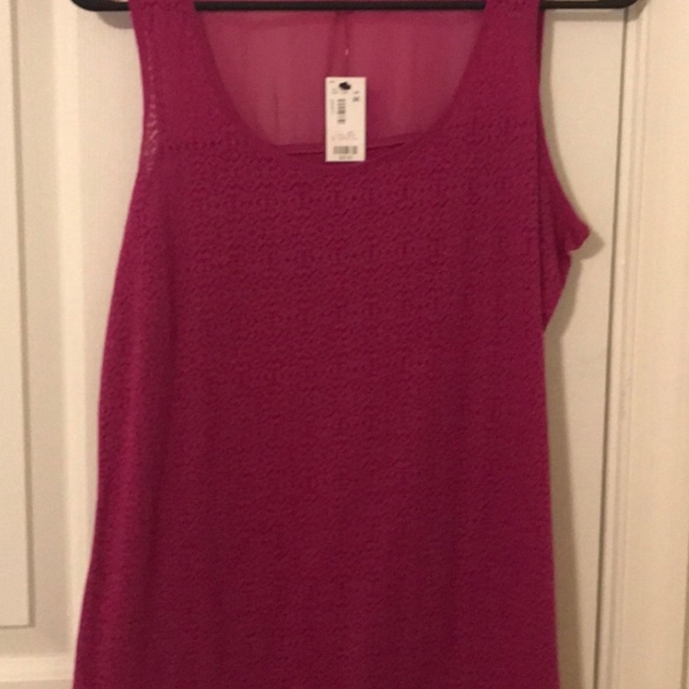 Sheer, sleeveless blouse from the limited